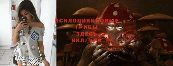 кокс Няндома