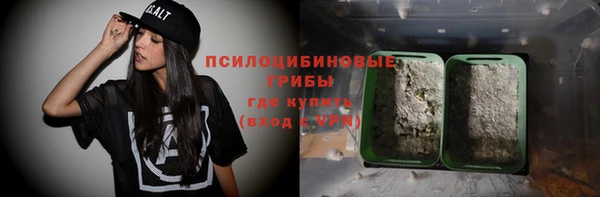 твердый Осташков