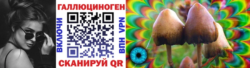 продажа наркотиков hydra tor Псилоцибиновые грибы GOLDEN TEACHER Пугачёв